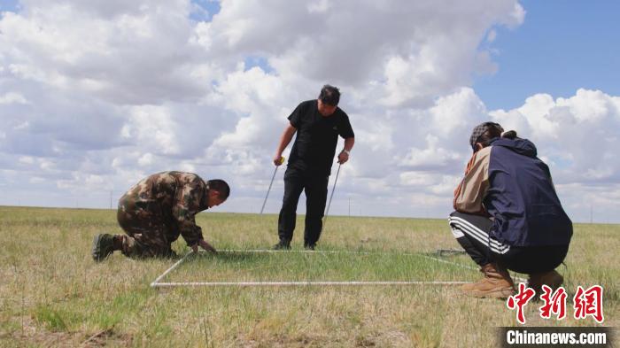 图为林草监测工作人员在草原监测样方区对草原返青状况进行地面监测。　张曙亮 摄
