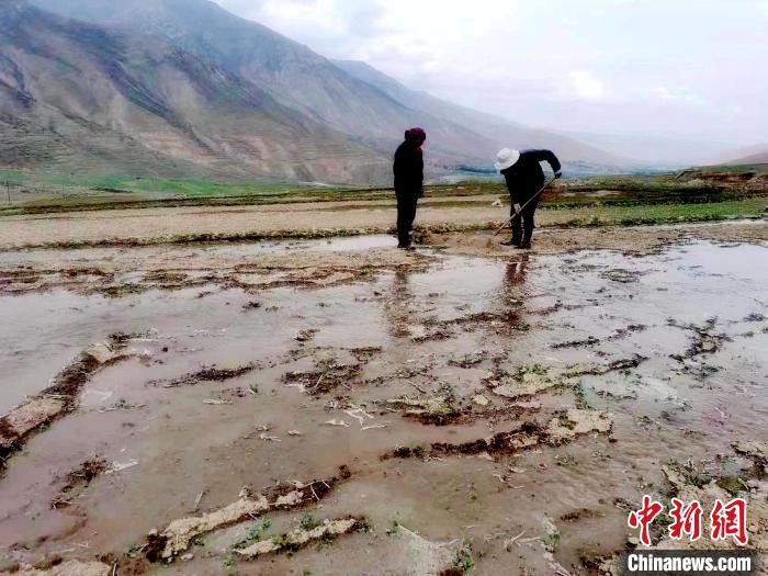 图为农户正在用涝池中的水浇灌农田。(资料图) 王桂萍 摄