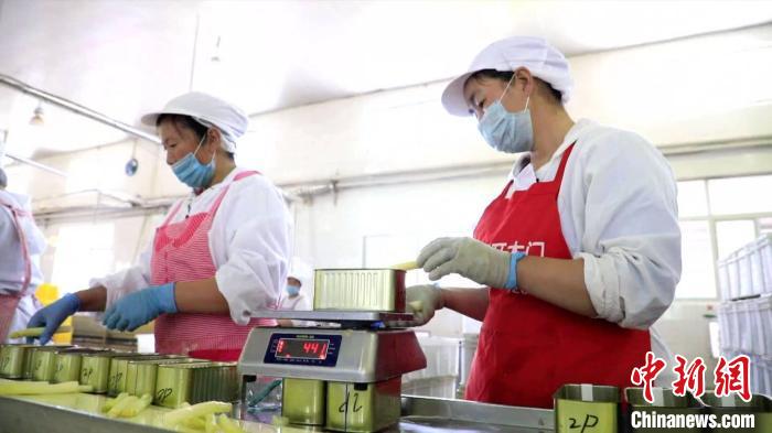 在利德尔食品有限公司的生产车间内，工作人员正在加紧赶制芦笋罐头。　 闫晓娜 摄