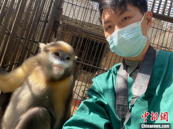 图为杨伟与黔金丝猴的自拍照。　受访者供图