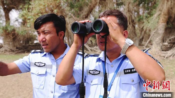 为保护好栖息在塔里木河流域的各类水鸟，工作人员在胡杨林巡视。　 吐尔逊·吾斯曼 摄